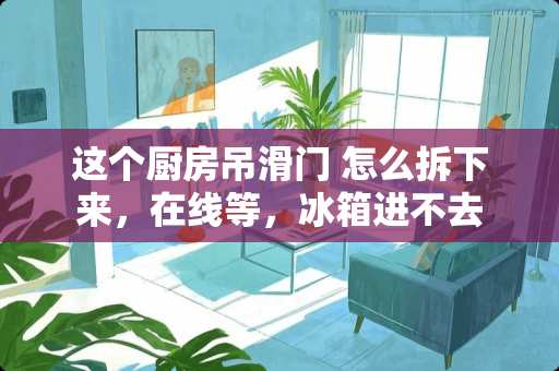 这个厨房吊滑门 怎么拆下来，在线等，冰箱进不去