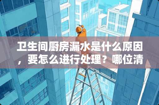 卫生间厨房漏水是什么原因，要怎么进行处理？哪位清楚？