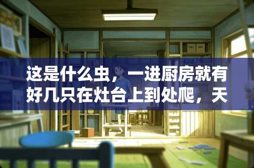这是什么虫，一进厨房就有好几只在灶台上到处爬，天天打，天天有。怎么消灭他们