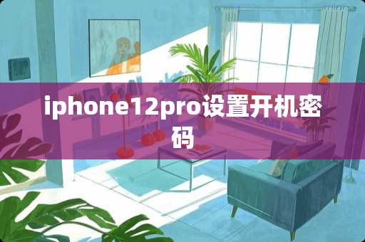 iphone12pro设置开机密码