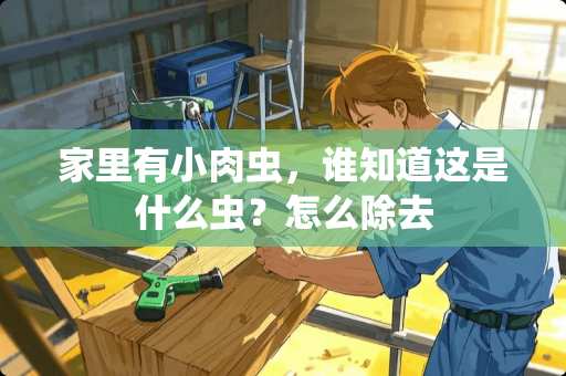 家里有小肉虫，谁知道这是什么虫？怎么除去