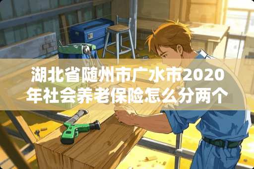 湖北省随州市广水市2020年社会养老保险怎么分两个季度交？