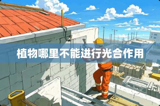 植物哪里不能进行光合作用