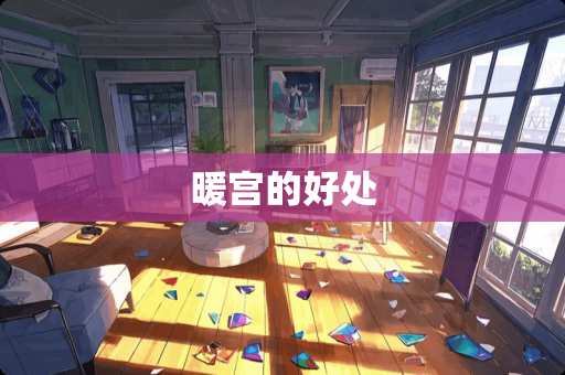 暖宫的好处