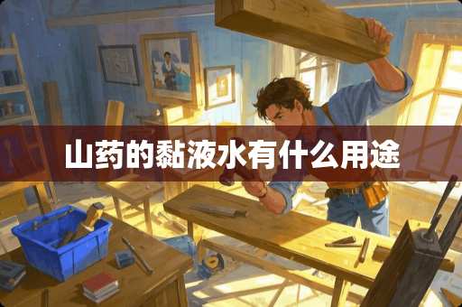 山药的黏液水有什么用途