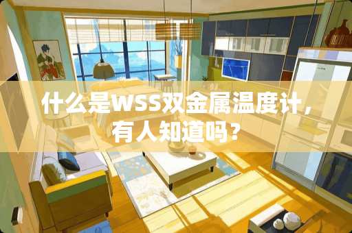 什么是WSS双金属温度计，有人知道吗？