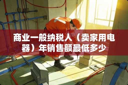 商业一般纳税人（卖家用电器）年销售额最低多少