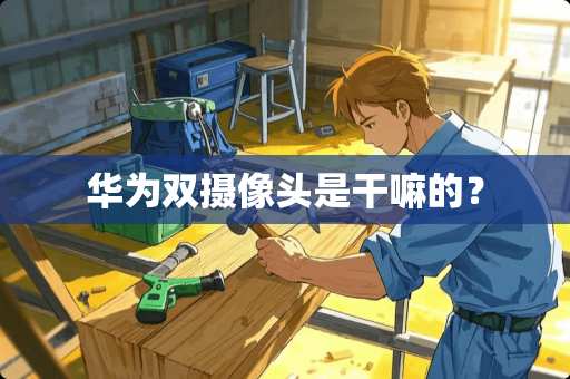 华为双**头是干嘛的？