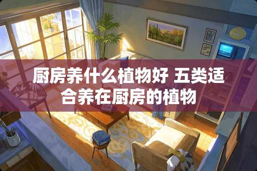 厨房养什么植物好 五类适合养在厨房的植物