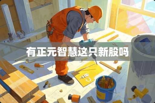 有正元智慧这只新股吗