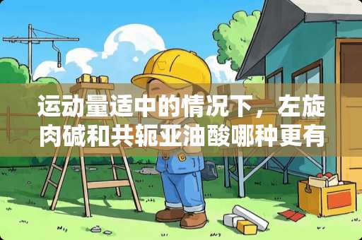 运动量适中的情况下，左旋肉碱和共轭亚油酸哪种更有效减肥？