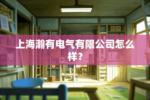 上海瀚有电气有限公司怎么样？