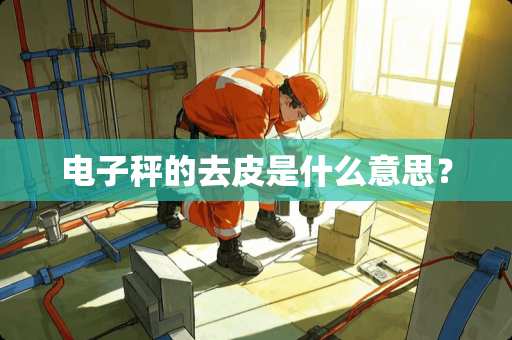 电子秤的去皮是什么意思？