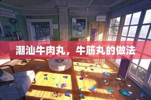 潮汕牛肉丸，牛筋丸的做法