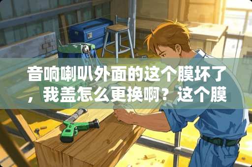 音响喇叭外面的这个膜坏了，我盖怎么更换啊？这个膜是叫什么？