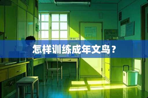怎样训练成年文鸟？