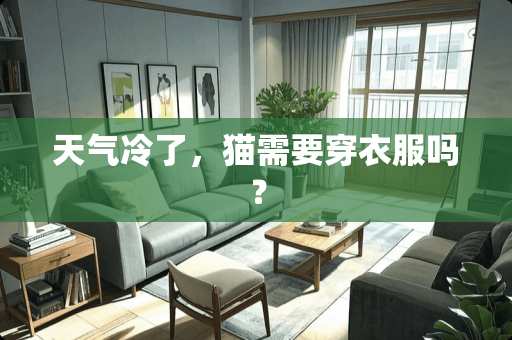 天气冷了，猫需要穿衣服吗？