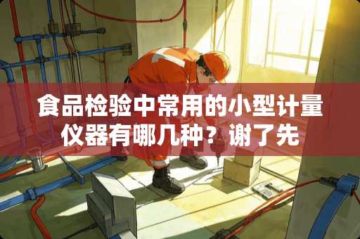 食品检验中常用的小型计量仪器有哪几种？谢了先