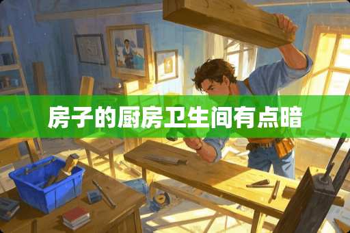 房子的厨房卫生间有点暗