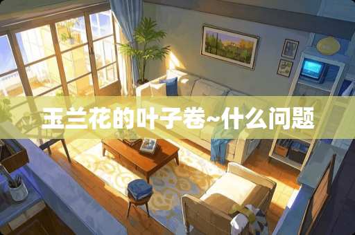 玉兰花的叶子卷~什么问题