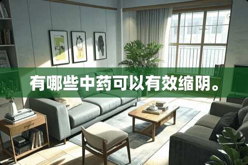 有哪些中药可以有效缩阴。