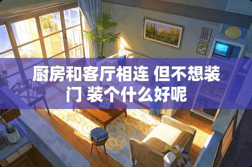 厨房和客厅相连 但不想装门 装个什么好呢