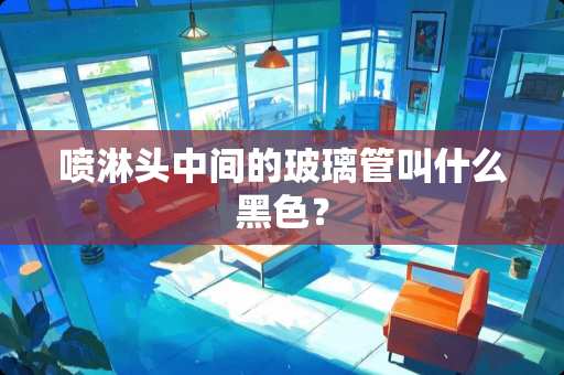 喷淋头中间的玻璃管叫什么黑色？