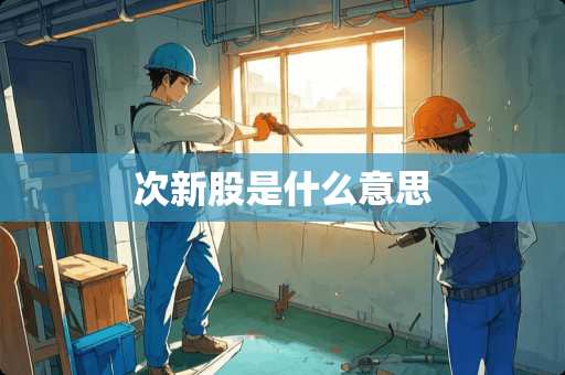 次新股是什么意思