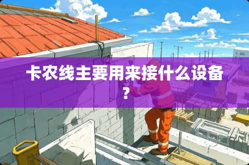 卡农线主要用来接什么设备？