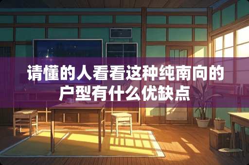 请懂的人看看这种纯南向的户型有什么优缺点