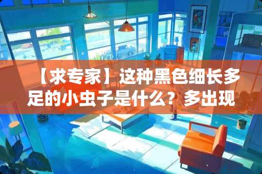 【求专家】这种黑色细长多足的小虫子是什么？多出现在厨房厕所。要如何消灭？【附图】