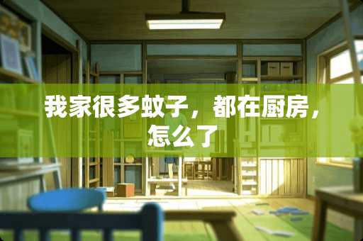 我家很多蚊子，都在厨房，怎么了