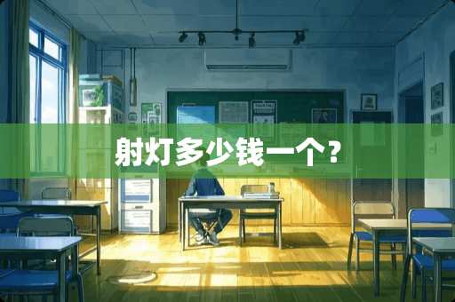 射灯多少钱一个？