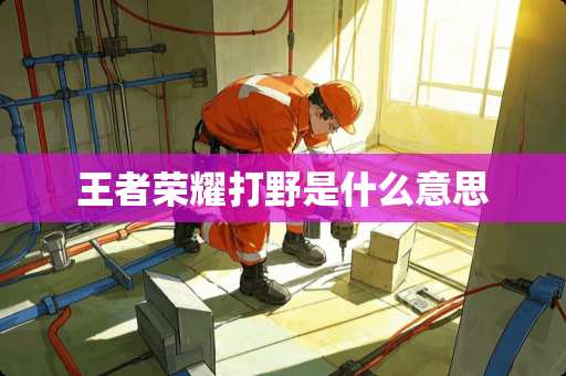 王者荣耀打野是什么意思