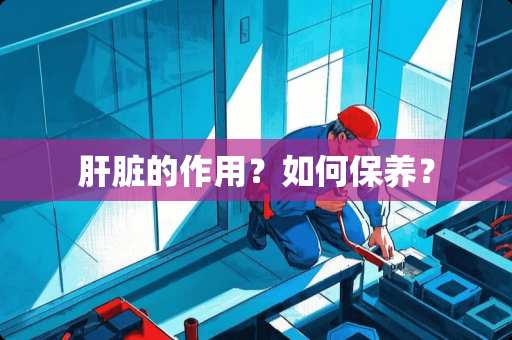 肝脏的作用？如何保养？