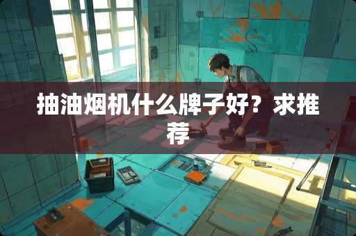 抽油烟机什么牌子好？求推荐