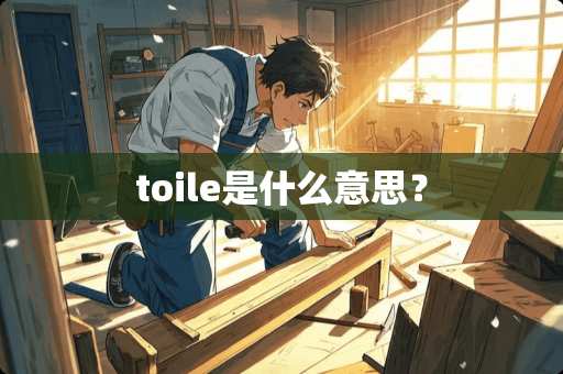 toile是什么意思？