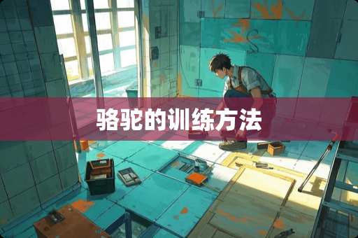 骆驼的训练方法