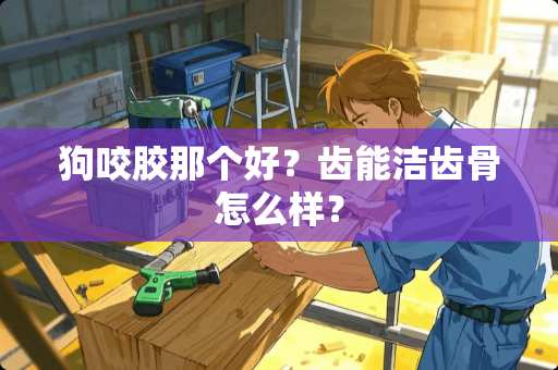 狗咬胶那个好？齿能洁齿骨怎么样？