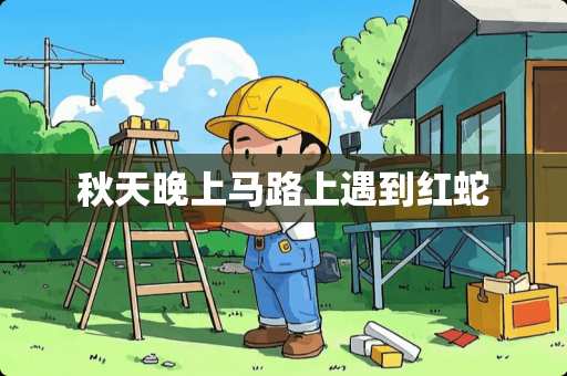 秋天晚上马路上遇到红蛇