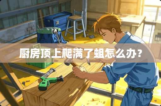 厨房顶上爬满了蛆怎么办？