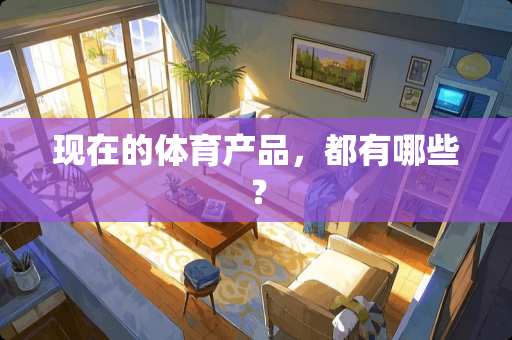 现在的体育产品，都有哪些？