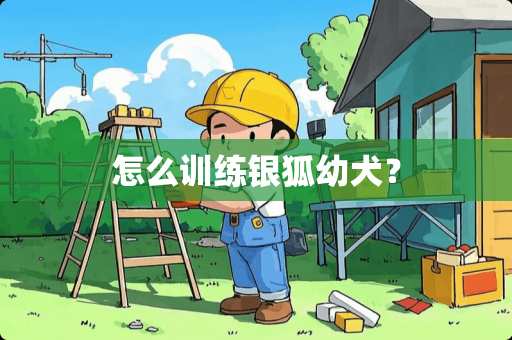 怎么训练银狐幼犬？
