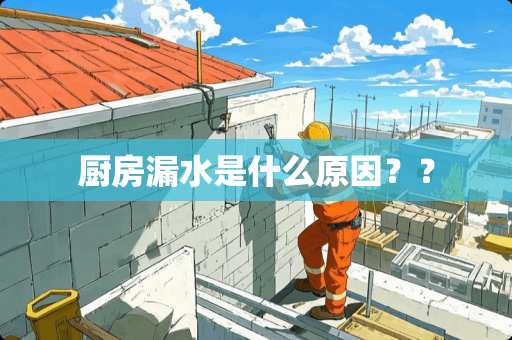 厨房漏水是什么原因？？