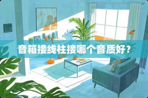 音箱接线柱接哪个音质好？