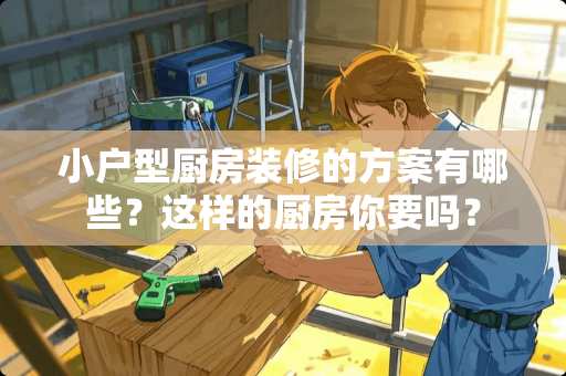 小户型厨房装修的方案有哪些？这样的厨房你要吗？