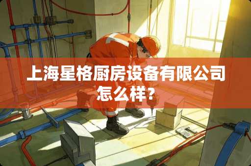 上海星格厨房设备有限公司怎么样？