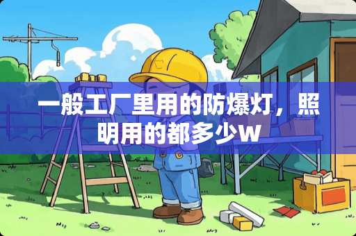 一般工厂里用的防爆灯，照明用的都多少W