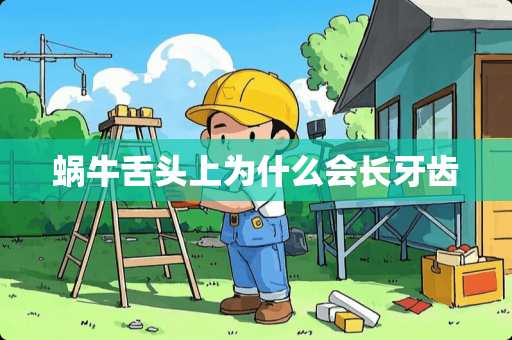 蜗牛舌头上为什么会长牙齿