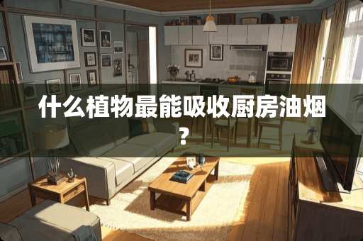 什么植物最能吸收厨房油烟？